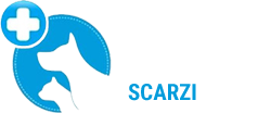 Centro Veterinario Dott. Scarzi Genova